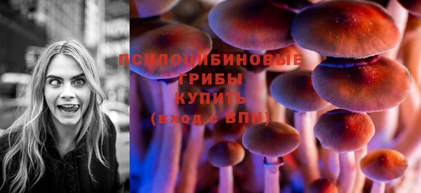 ГАЛЛЮЦИНОГЕННЫЕ ГРИБЫ Гусиноозёрск