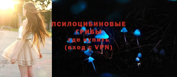 ГАЛЛЮЦИНОГЕННЫЕ ГРИБЫ Гусиноозёрск