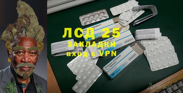 ГАЛЛЮЦИНОГЕННЫЕ ГРИБЫ Гусиноозёрск