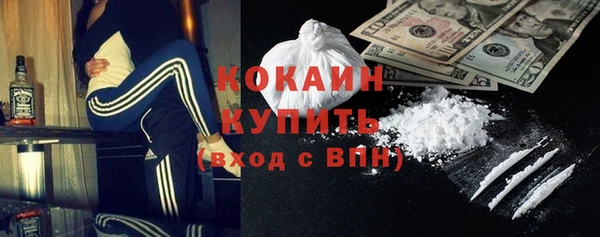 ГАЛЛЮЦИНОГЕННЫЕ ГРИБЫ Гусиноозёрск