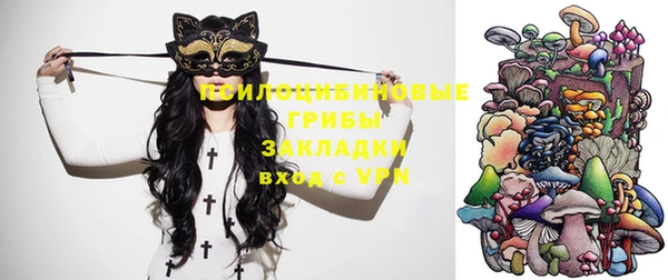 молекула духа Гусь-Хрустальный