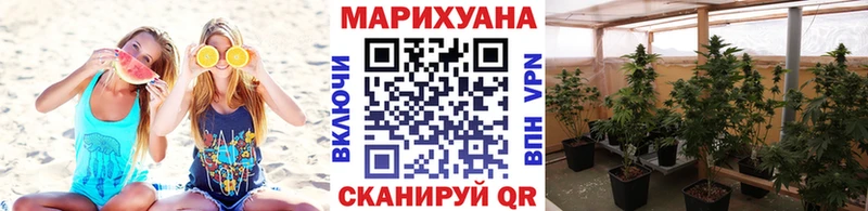 Бошки Шишки SATIVA & INDICA Динская